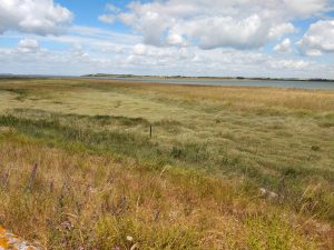 Figure 1: Graveney Marshes before the construction of Project Fortress solar farm.